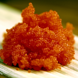 FISH ROE